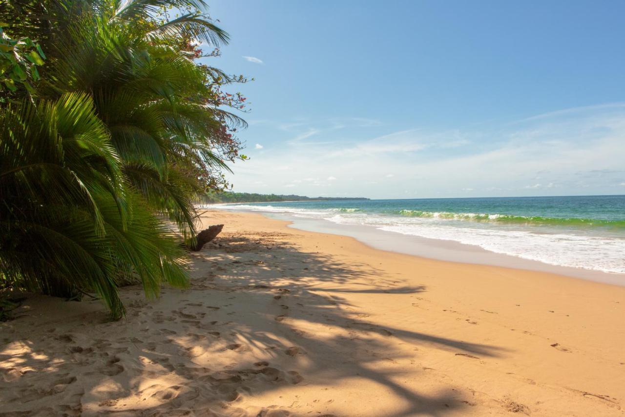 La Coralina Island House Hotel Bocas Town Exterior foto