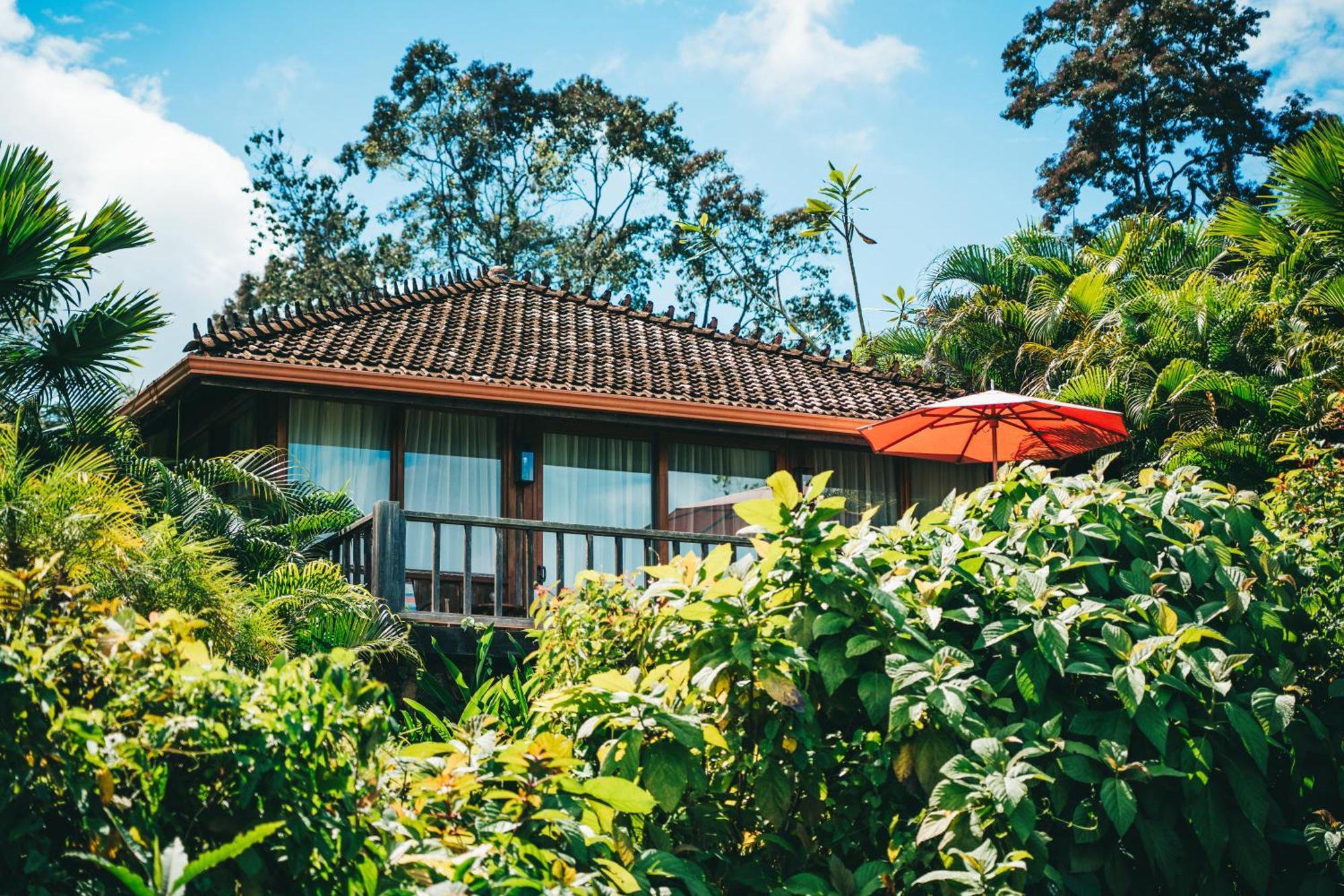 La Coralina Island House Hotel Bocas Town Exterior foto